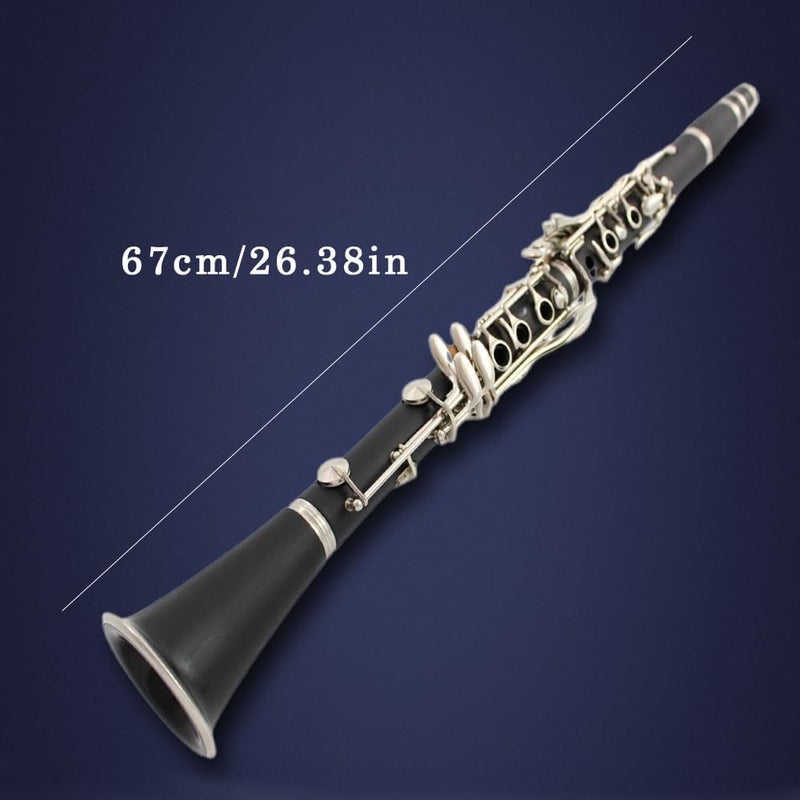 HOGSN clarinet in B flat，beginner's performance, professional playing instrument with box, cleaning kit. - Image 2